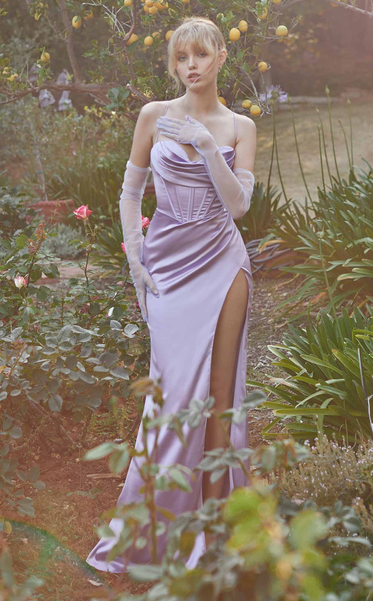Cinderella Divine 7483 Dress