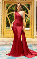 Portia and Scarlett PS21219 Dress