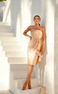 Terani 241C2302 Dress
