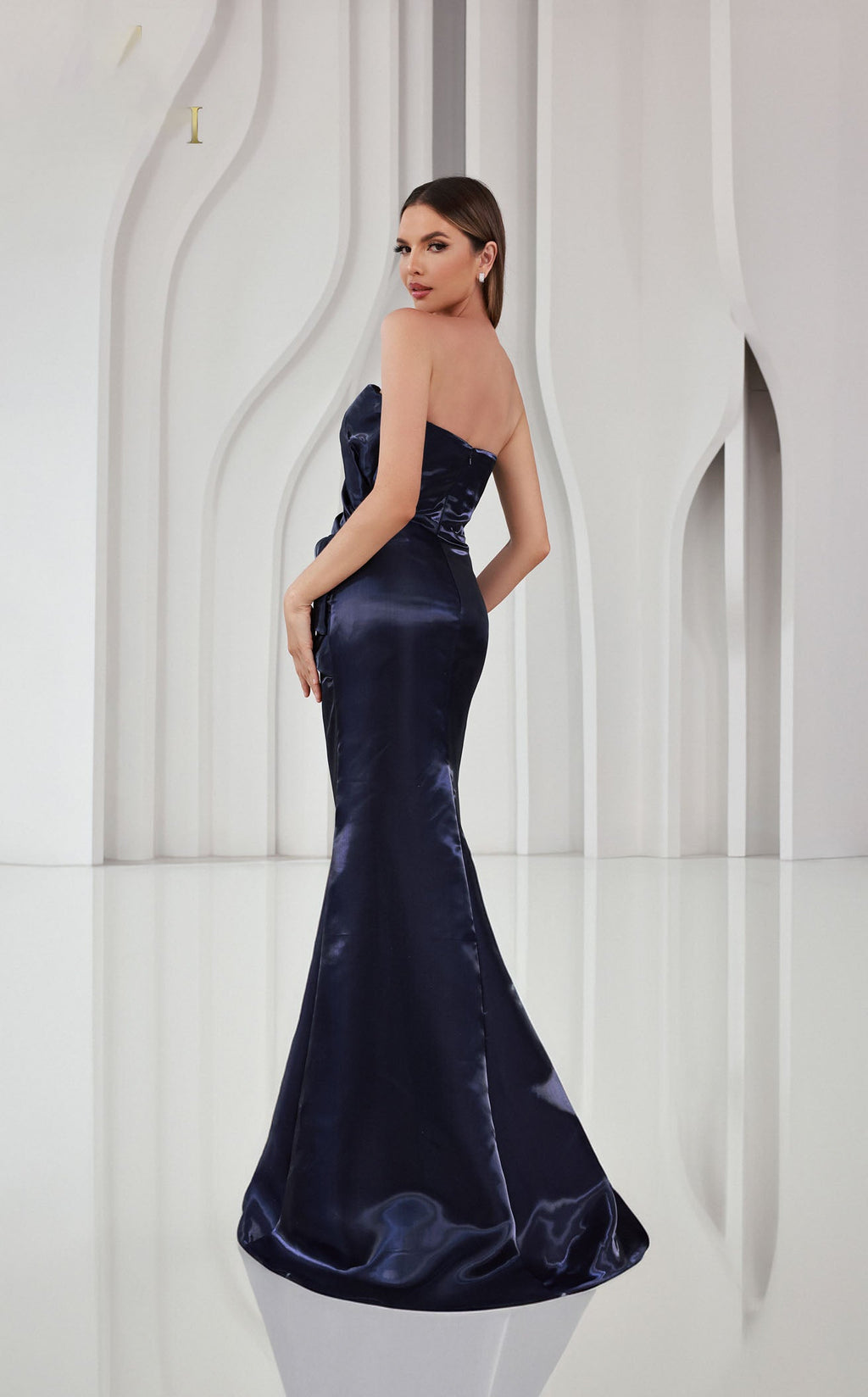 Terani 251E4231 Dress