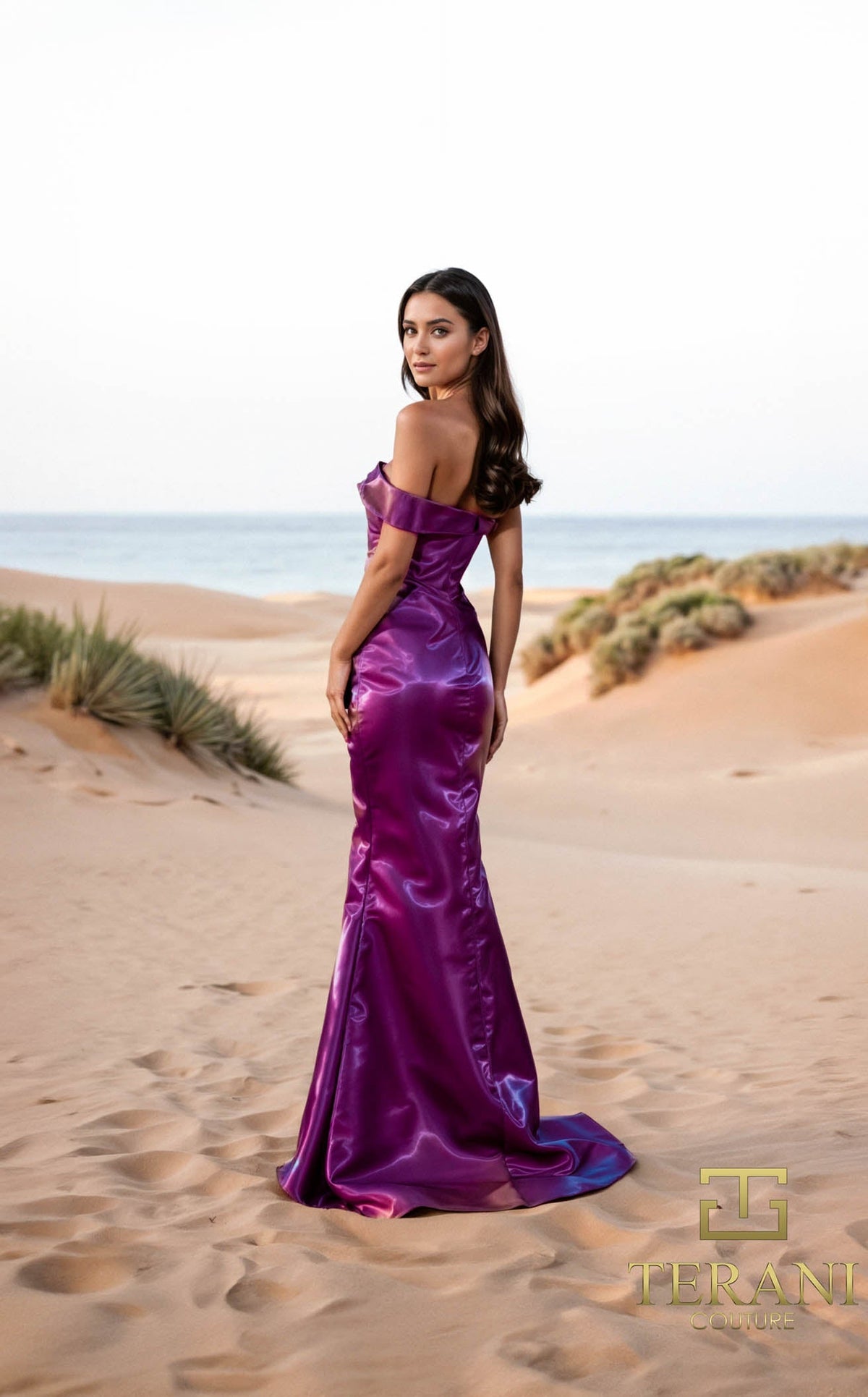Terani 252E5162 Dress