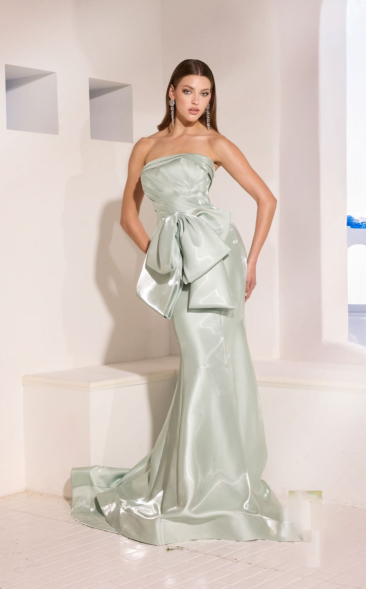 Terani 252E5164 Dress