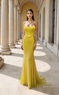 Terani 261P6187 Dress